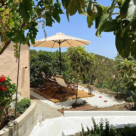 Апартаменты The Garden House, Sitia Экстерьер фото